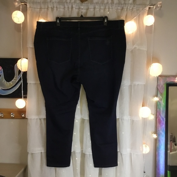 NEW, LAURIE FELT PREMIUM DENIM SILKY SKINNY WITH VITAL STRETCH, SIZE 3X - Picture 2 of 6